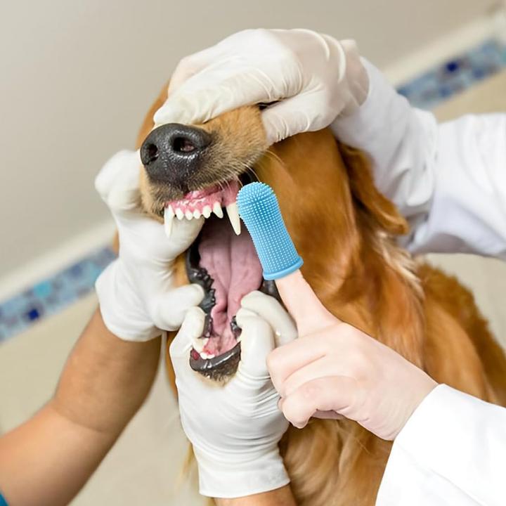 Produktbild Suba Hundezahnbürste (Hund)