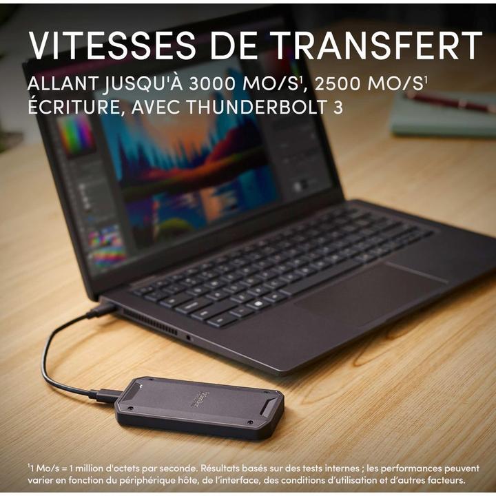 Actual product image SanDisk Professional Pro-G40 2024 (2 TB)