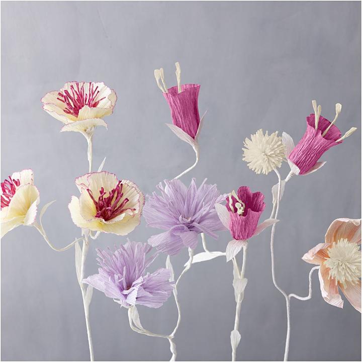 Produktbild Creativ Company Krepppapier 8 Rollen 25 x 60 cm, Papierformat (105 g/m², 8x)