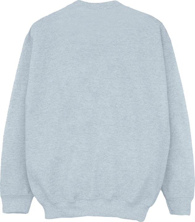 Image du produit Sweatshirt garçon Aquaman The Trench Crest (140, 146)