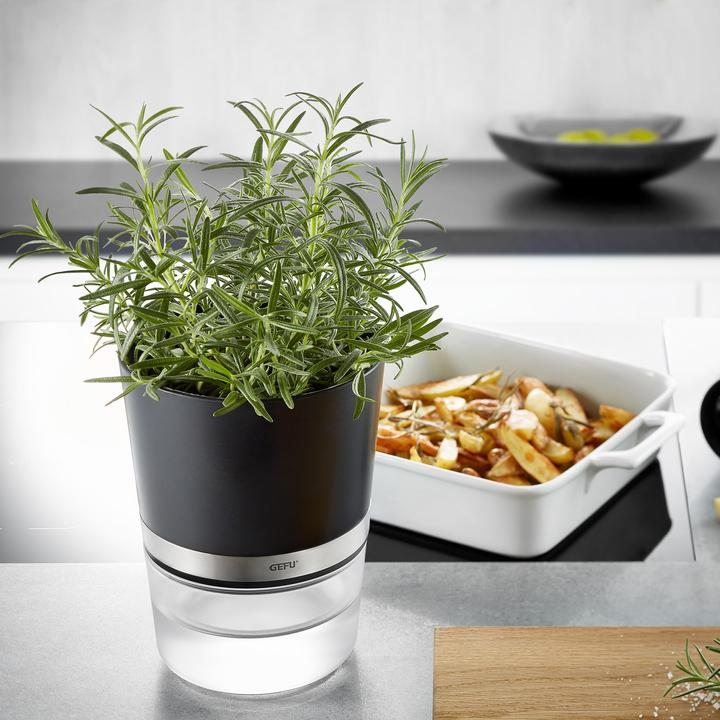 Image du produit GEFU Botanico (14.20 cm)