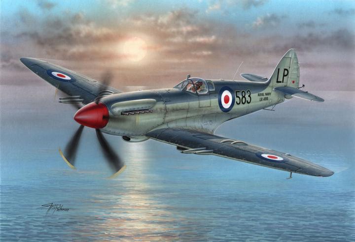 Actual product image Special Hobby Supermarine Seafire Mk.45