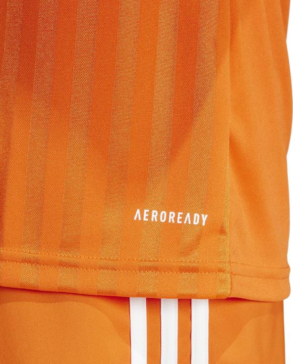 Actual product image adidas Campeon 25 jersey (XL)