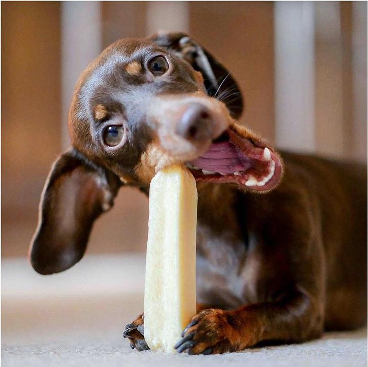 Produktbild Sollis Himalaya Käse-Kaustange 5 x Kaustange XS (Adult, 5 Stk., 130 g)