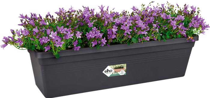 Image du produit Elho Bacs à balcon Green Basics (400 cm)