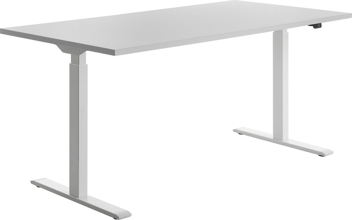 Topstar Desk (160 x 80 x 120 cm)