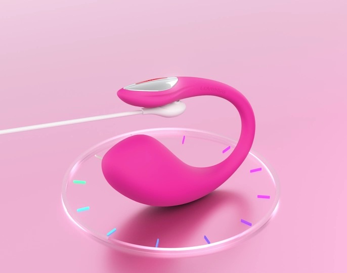 Actual product image Lovense Lush 4
