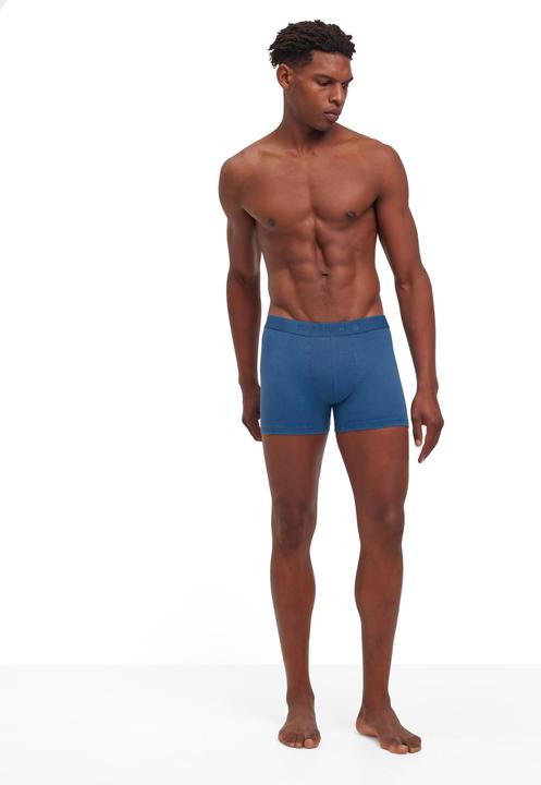 Produktbild Falke 2-Pack Herren (L, 2er Pack)