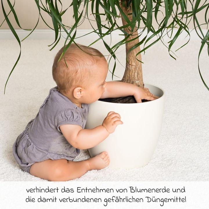 Produktbild Reer Kindersicherungen 3er Pack Pflanzenschutznetz für Blumentöpfe