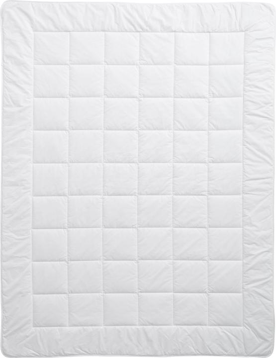 Produktbild Billerbeck Bamboo Uno (1280 g, 160 x 210 cm)