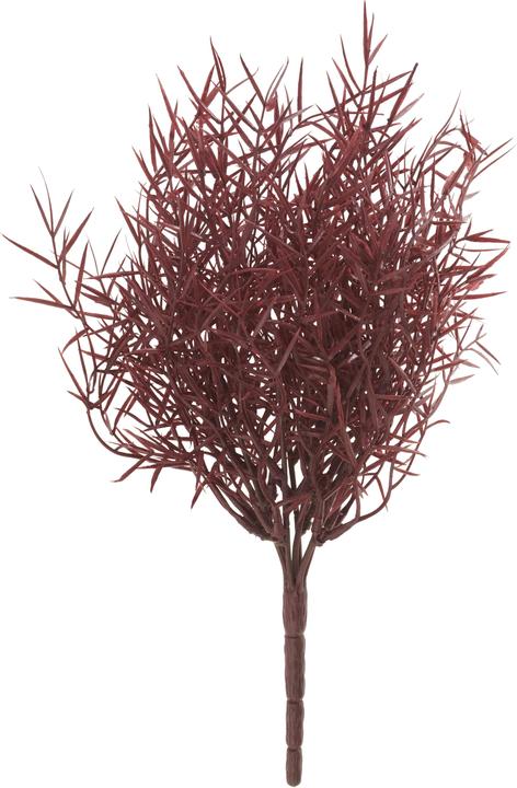 Immagine prodotto VBS Mazzo di asparagi ornamentali "Sprengeri", L 32 cm