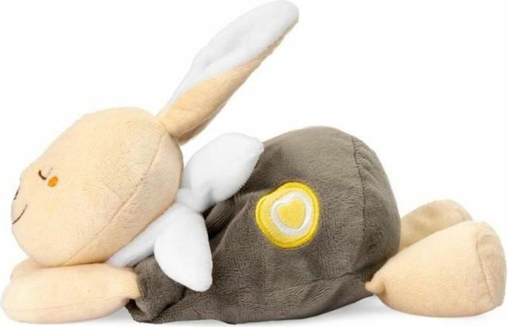Immagine prodotto Chicco Warm Heart Bunny Plush