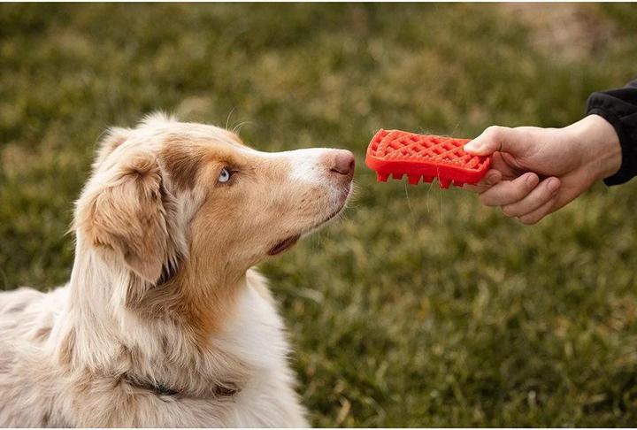 Actual product image Pet+Me Brush (Cat, Dog)