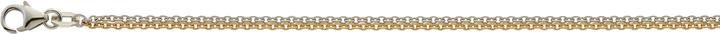 Image du produit Bijou Classic Collier Rundanker zweirangig 45 cm (Or)