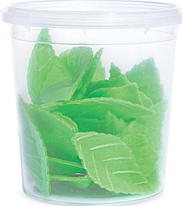 Produktbild ScrapCooking Grüne Blätter (24 x)