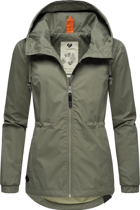 Olive24