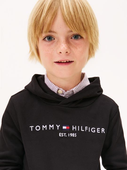 Actual product image Tommy Hilfiger Essential Hoodie (116)