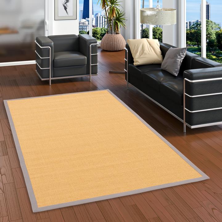 Produktbild Pergamon Sisalteppich Natura Klassisch mit Bordüre (200 x 250 cm)