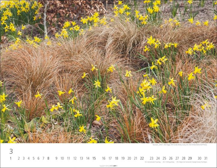 Immagine prodotto Gräser Kalender 2026 (44 x 34 cm)
