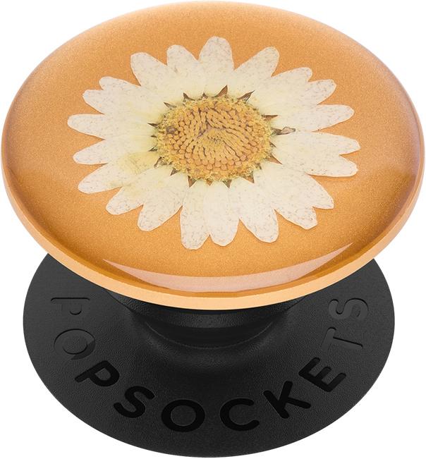 Actual product image PopSockets Pressed Flower Daisy