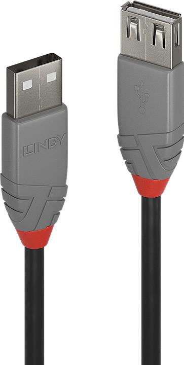 Actual product image Lindy USB/A-USB/A M-F (2 m, USB 2.0)
