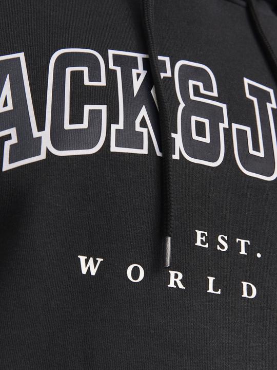 Produktbild Jack & Jones Jjecaleb Varsity Sweat Hood Noos Pls (8XL)