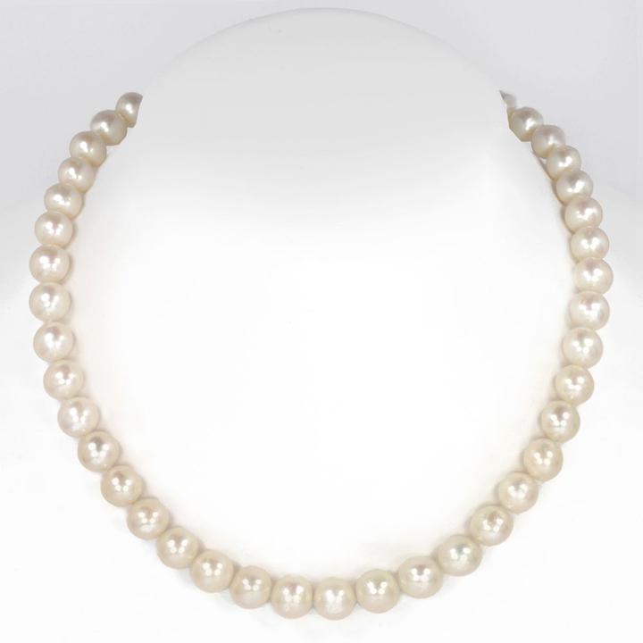 Produktbild Bijouteria Perlen-Halskette (Silber 925, Süsswasserperle, 40 cm)