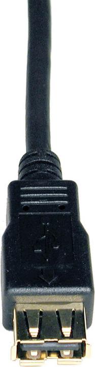 Produktbild Eaton USB 2.0 Extension Cable A M/F 6ft. 1,83m (1.83 m, USB 2.0)