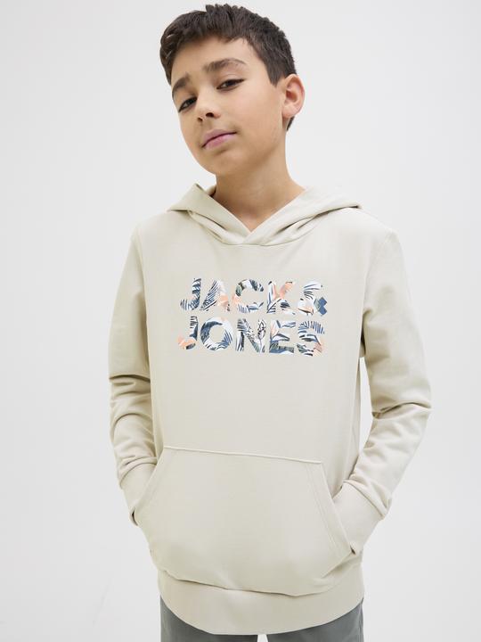 Produktbild Jack & Jones Jjebryan Corp Logo Sweat Hood Noos Jnr (164)