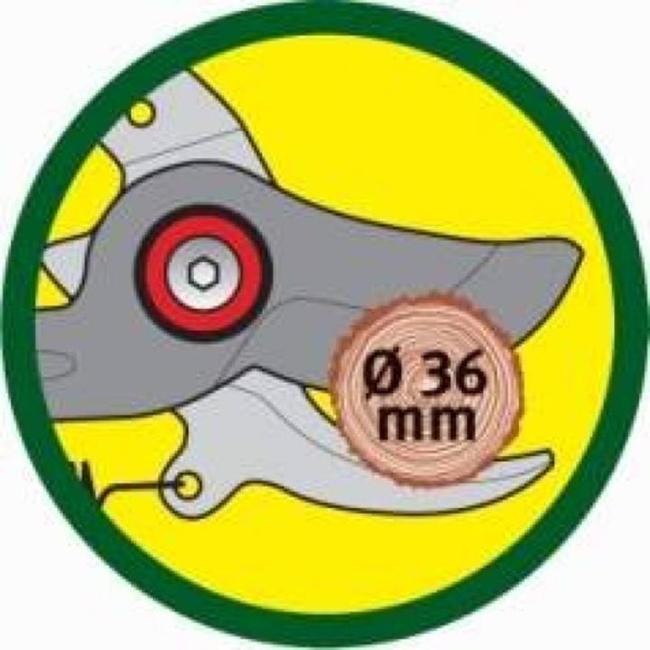 Actual product image Wolf-Garten Rr-Vm
