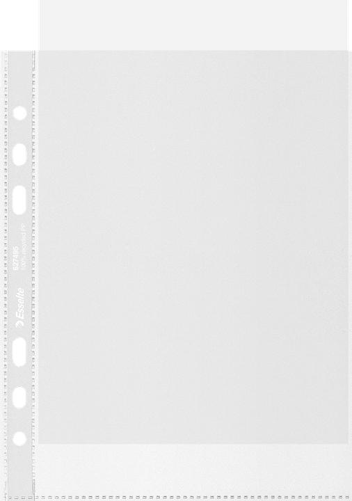 Image du produit Leitz Pochette à prospectus (A5, 100x)