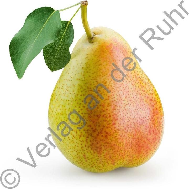 Produktbild Pärchen gesucht! Thema: Teekesselchen (Deutsch)