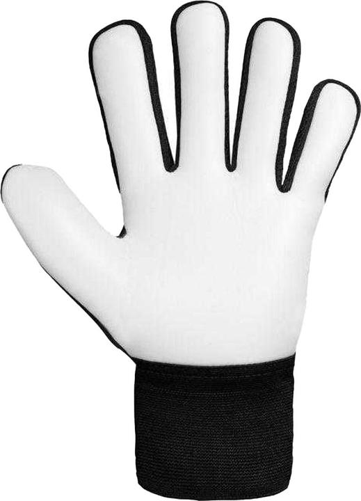 Actual product image Reusch Attrakt Starter Solid Jr Torwarthandschuhe (6)