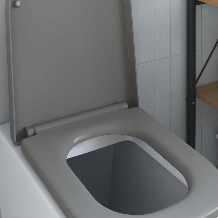 Actual product image VidaXL Toilet seat Quick Release soft-close Duroplast grey
