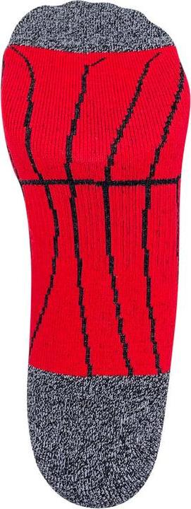 Produktbild DRASSN Vohenstrauss Merino Short (42 - 44)