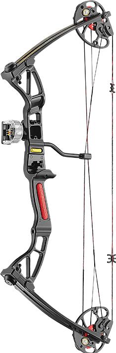 Image du produit Ek Archery Rex Black