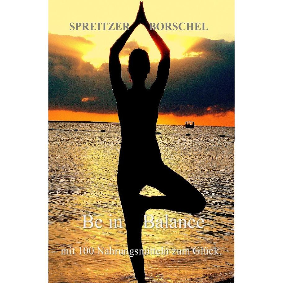 Be in Balance, Ratgeber von Christian Spreitzer, Daniel Borschel