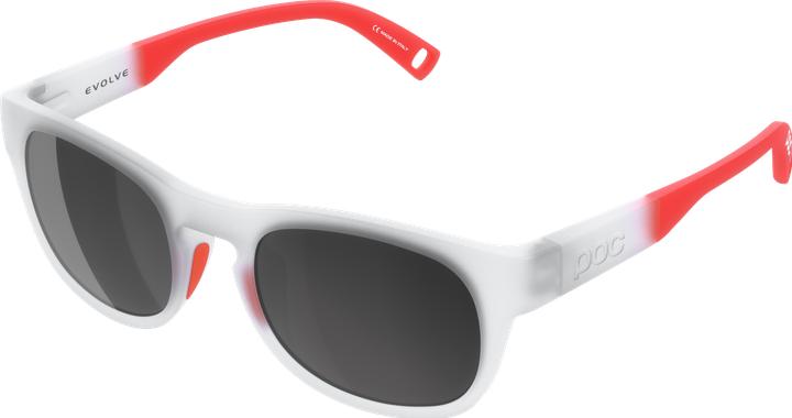 Immagine prodotto Poc Evolve Sportbrille
