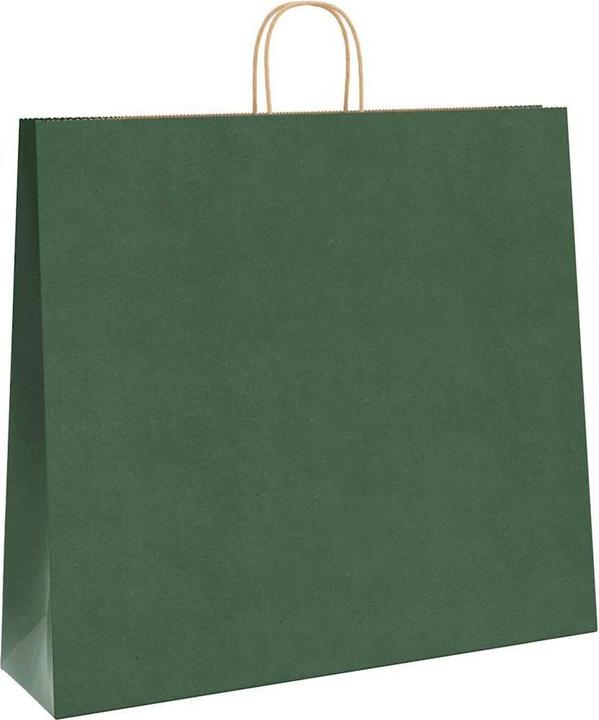 Image du produit vidaXL Papiertragetasche (250x)