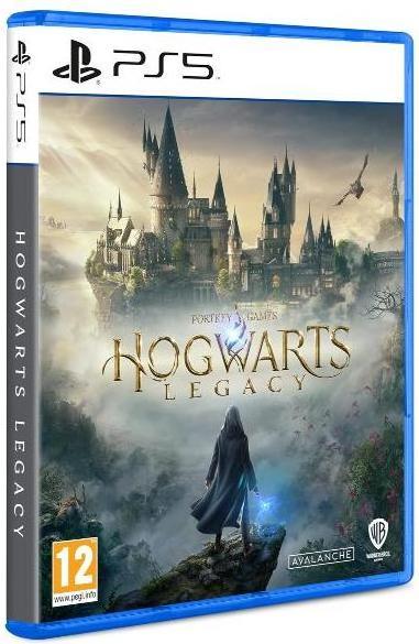 Actual product image WB Hogwarts Legacy (PS5, IT)