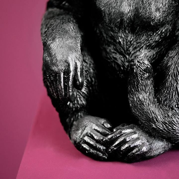 Actual product image Werner Voss Monkey Abu (E27)