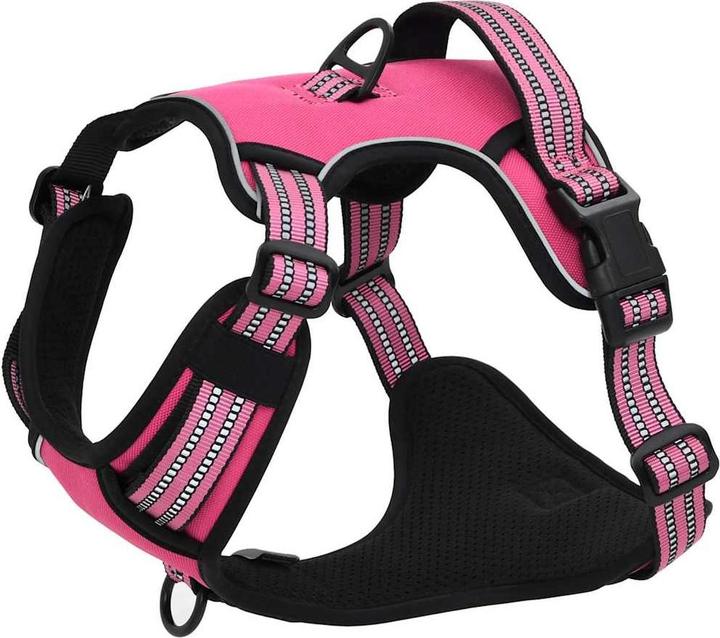 Actual product image vidaXL Hundegeschirr (XL, Dog, General)