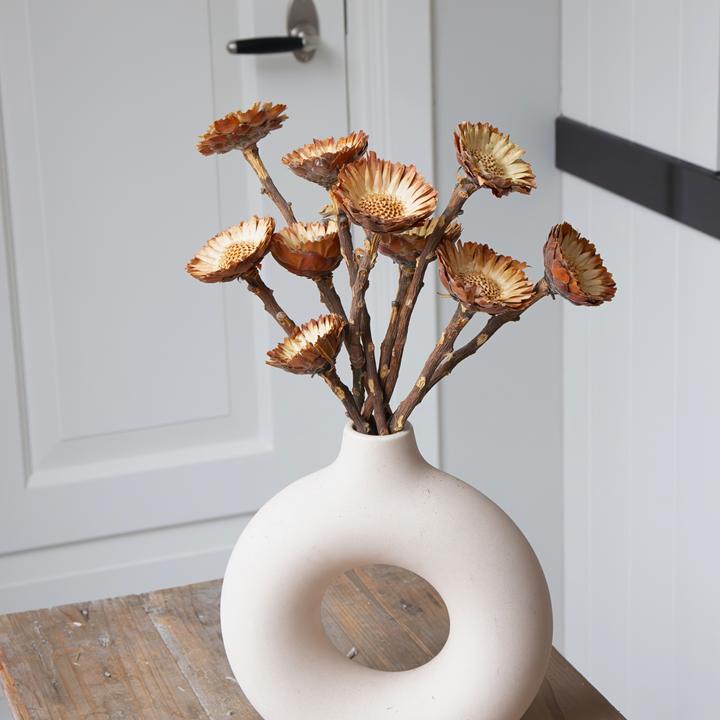 Produktbild Plant in a Box - (40 cm)