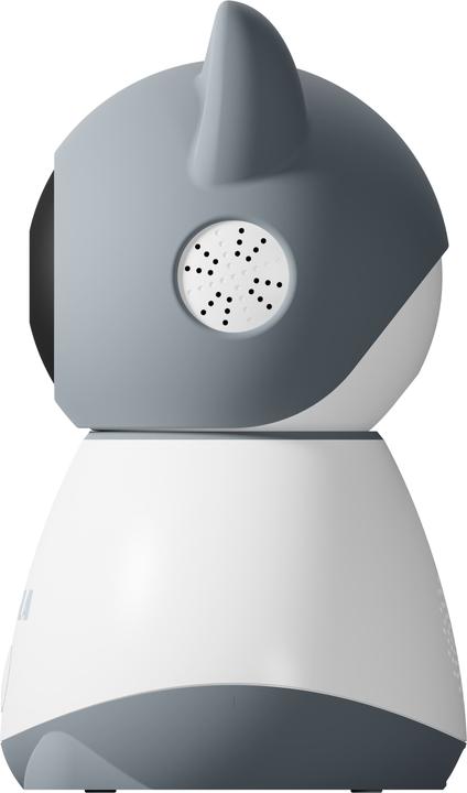 Actual product image Tesla Smart B250 surveillance camera, grey/white (1920 x 1080 Pixels)