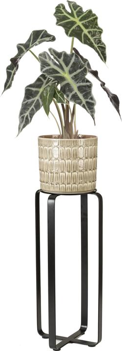 Produktbild Scheurich Avignon 51