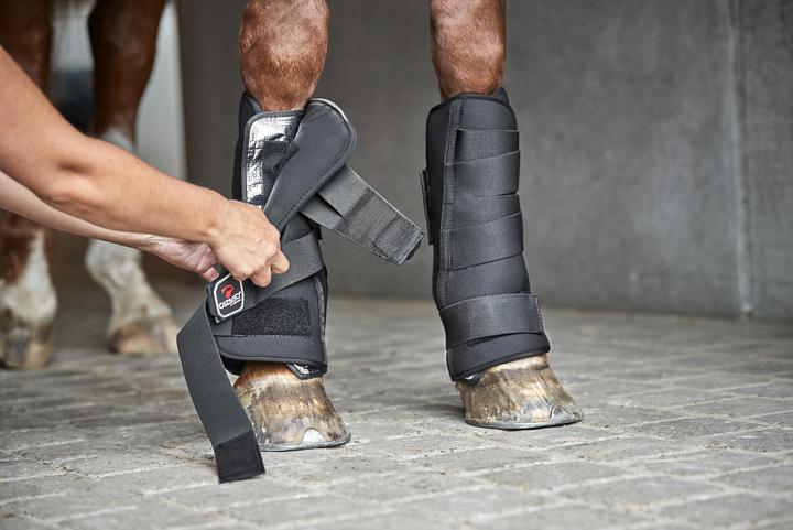 Immagine prodotto Catago Inserto di raffreddamento per cavalli (Taglia unica)