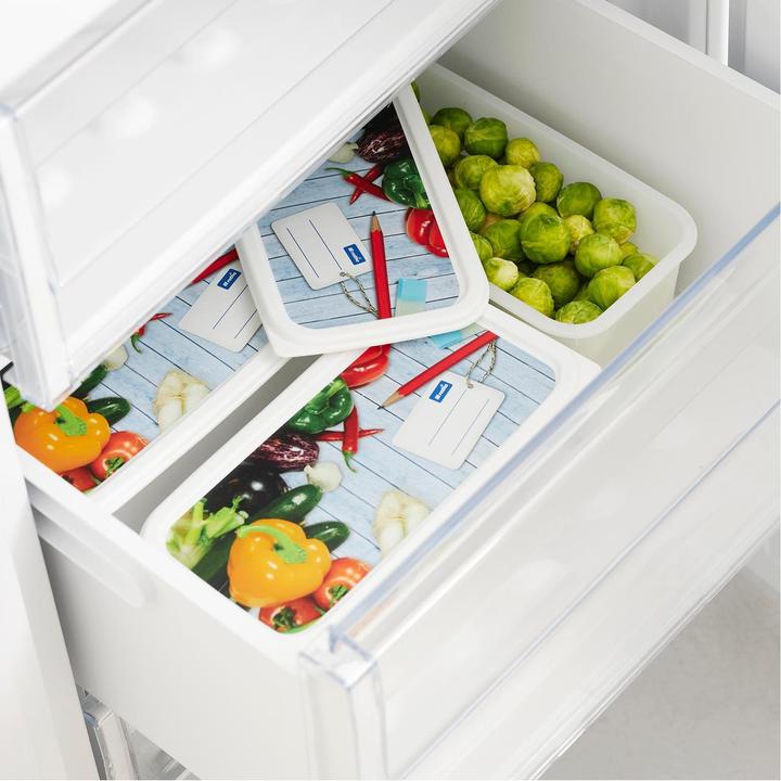 Actual product image Rotho Freezing box (1.50 l)