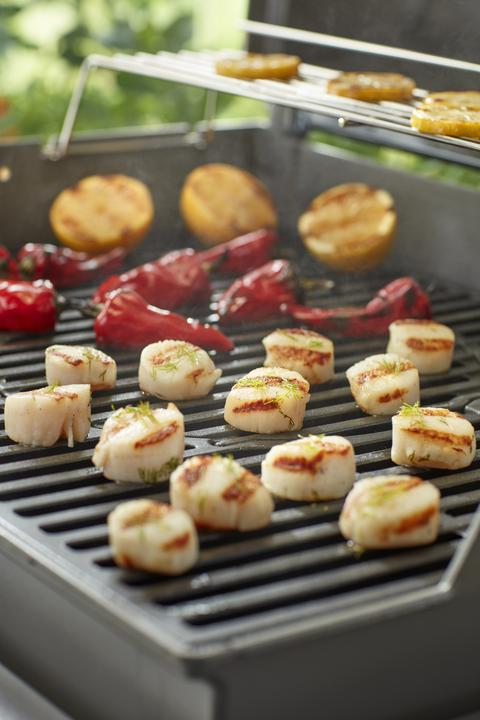Immagine prodotto Weber Griglie
