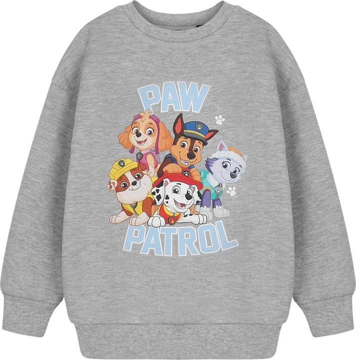Actual product image Paw Patrol Childrens/Kids Collegiate Sweatshirt (104)
