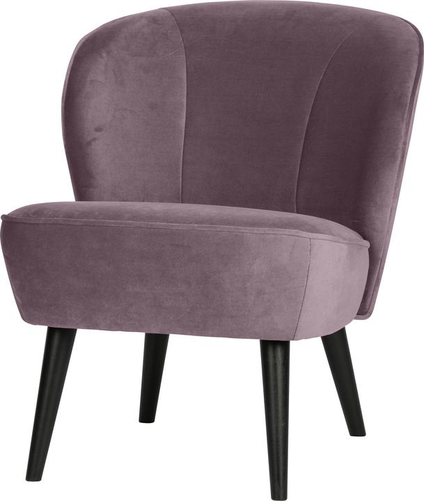 Lilas chaud
